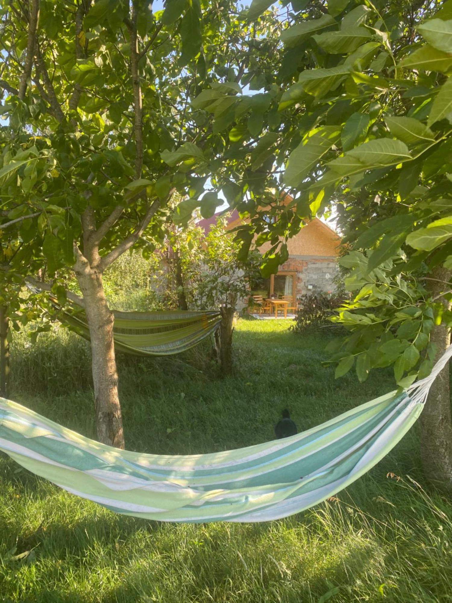 Caloroczna Letnisko Klocowka Roztocze Farm stay